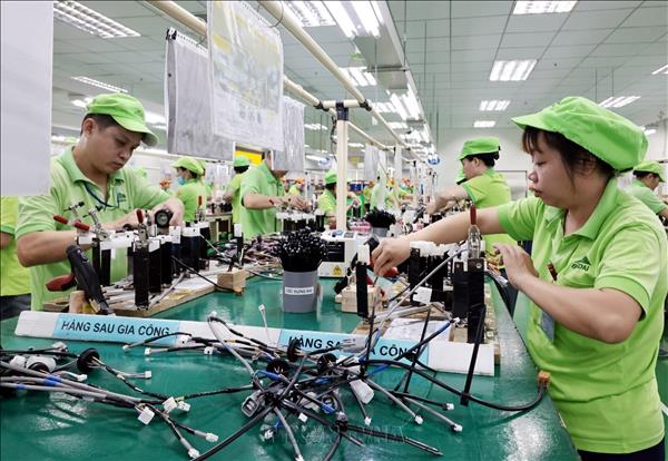 Identifying advantages to realise FDI attraction targets: experts