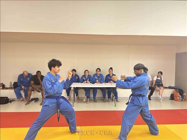 Paris Vovinam club promotes Vietnamese culture in France