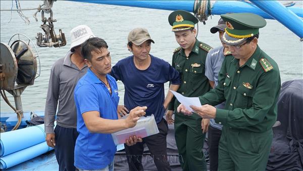 Chống khai thác IUU: Chuyển biến từ nhận thức đến hành động của ngư dân