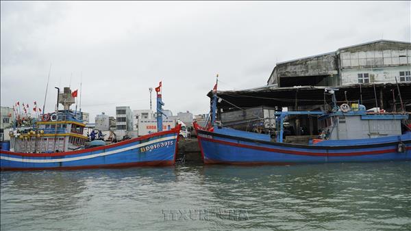 Gia Lai renforce le contrôle numérique de sa flotte de pêche contre la pêche illicite