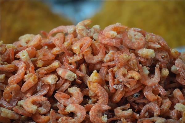 Nghe Ans Dried Seafood Captivates Visitors