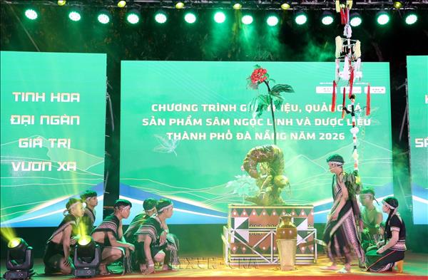 Đà Nẵng quảng bá sâm Ngọc Linh và dược liệu đến với du khách
