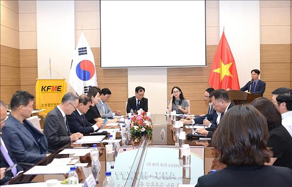 Việt Nam và Hàn Quốc tăng cường kết nối doanh nghiệp siêu nhỏ và tiểu thương