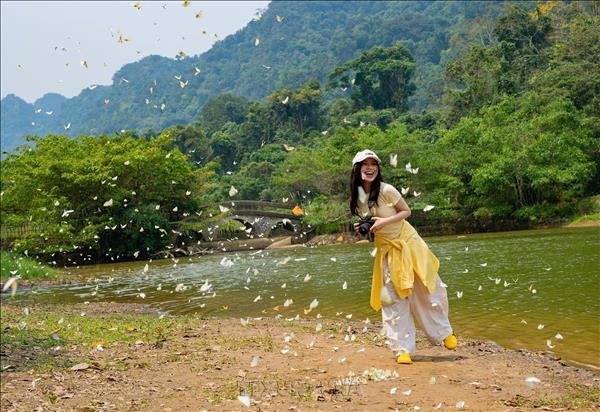 ឧទ្យានជាតិ Cuc Phuong ទទួលបានកិត្តនាមជា ទីមកដល់ធម្មជាតិដ៏អស្ចារ្យទាក់ទាញភ្ញៀវទេសចរឈានមុខគេក្នុងឆ្នាំ២០២៥