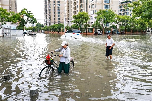Trung Quốc căng mình phòng chống bão Bavi