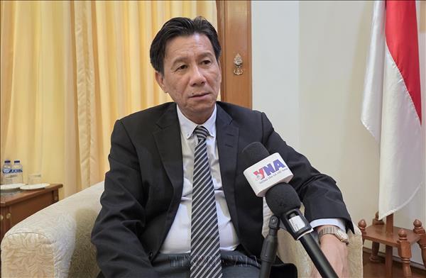 Vietnam, Indonesia have ample room to deepen Comprehensive Strategic Partnership: ambassador