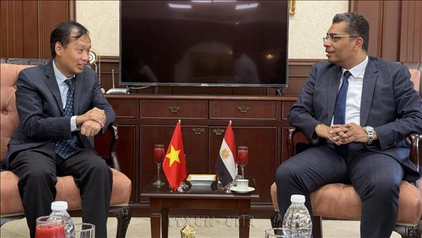 Vietnam seeks stronger economic links with Egypts Red Sea Governorate