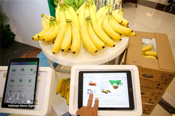 La transformation numérique permet aux produits agricoles de mieux répondre aux exigences du marché