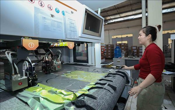 Footwear industry accelerates green transition, strengthens supply chains