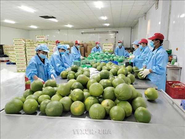 Vietnam urged to strengthen economic resilience while sustaining strong growth