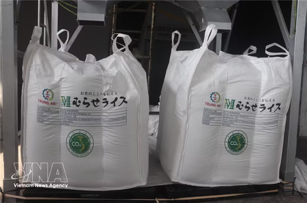 Plus de 70 000 tonnes de riz vietnamien déjà labellisées vertes