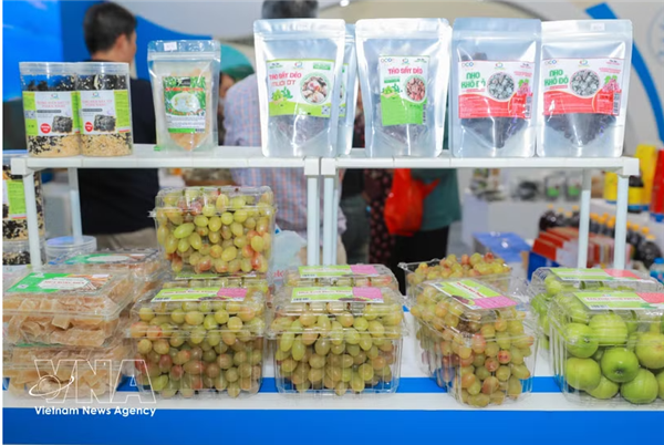 Vietnam : lagriculture durable, un nouvel  or vert  sur les marchés internationaux
