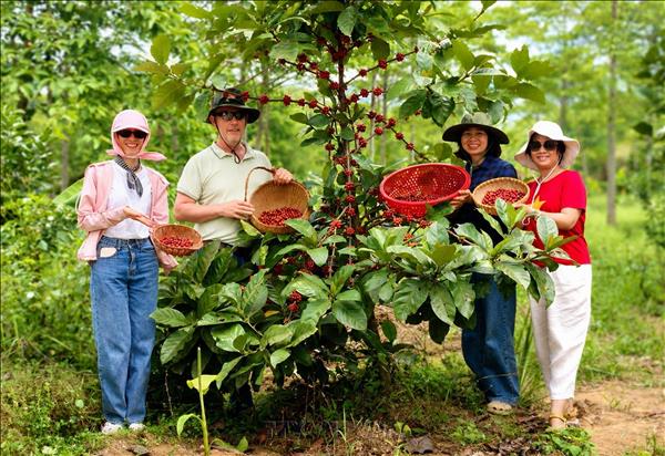 Green-certified Vietnamese farm produce gains premium in global markets