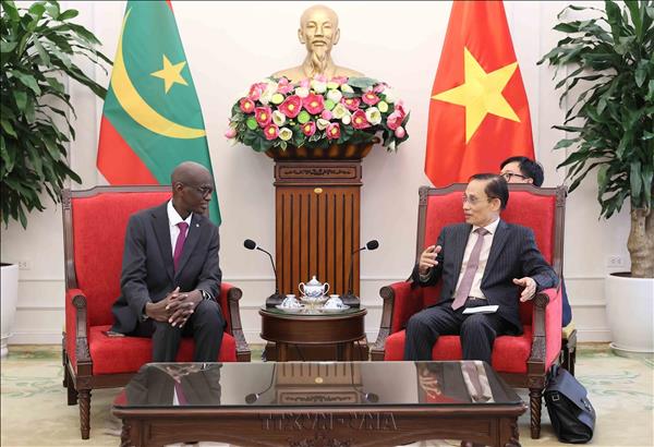 Vietnam treasures traditional friendship with Mauritania: FM