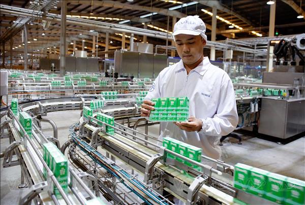 Kinh tế tư nhân kiến tạo tăng trưởng xanh tại TP Hồ Chí Minh