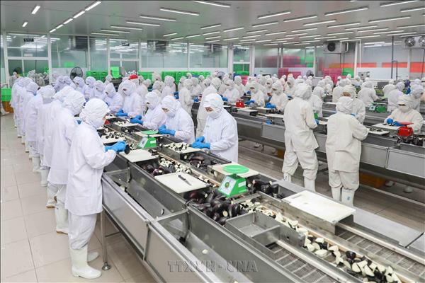 Vietnam-EFTA deal set to further boost bilateral trade growth