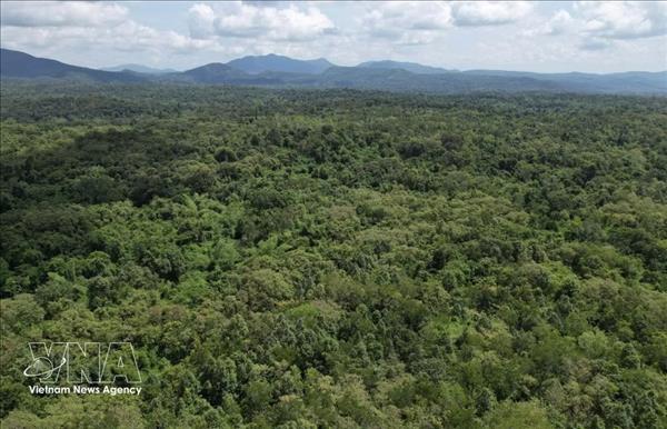 Dak Lak relâche 60 spécimens danimaux sauvages rares dans leur milieu naturel