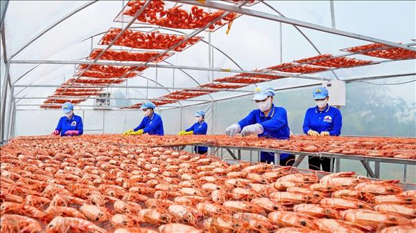 Programa de empresas pioneras impulsará competitividad de Vietnam