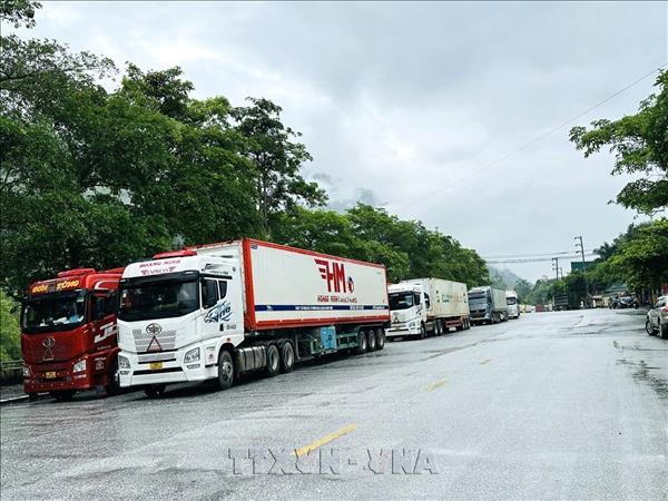 Border economy strengthens Tuyen Quangs growth momentum