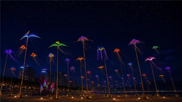 500只夜光风筝点亮岘港夜空