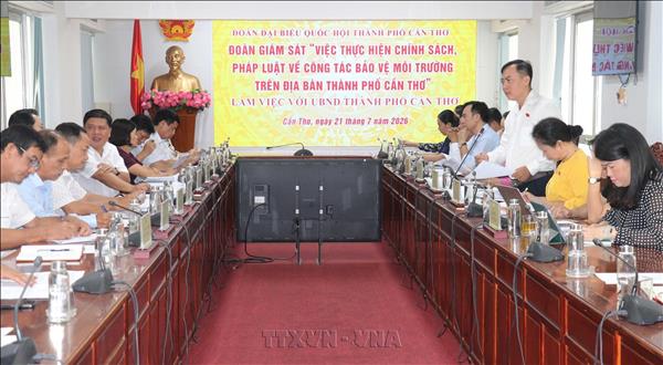 Giám sát việc thực hiện chính sách về bảo vệ môi trường