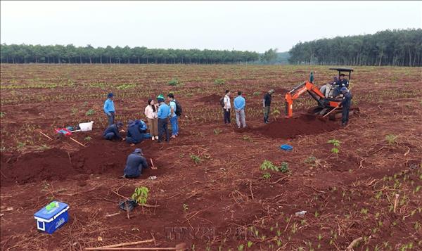 Phát hiện hai vị trí mộ tập thể cùng nhiều di vật có giá trị