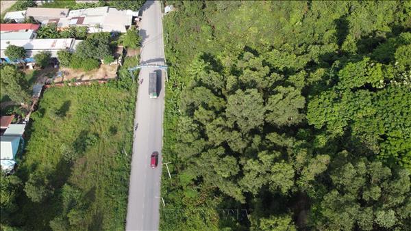 The Green Lung at the Heart of Dong Nais Industrial Hub