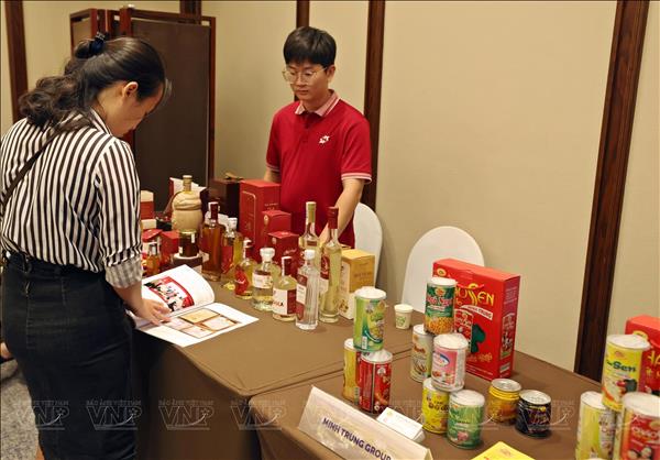 Consumo interno y turismo impulsan crecimiento de servicios en Vietnam