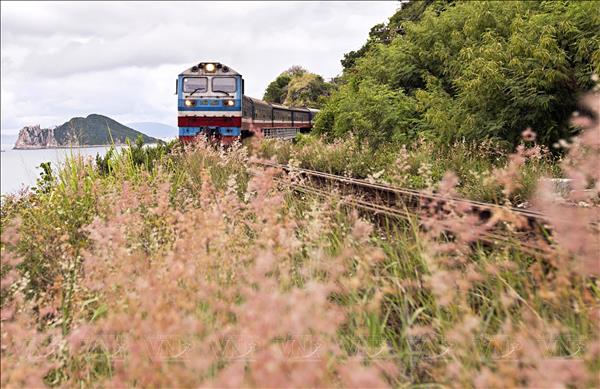 Sector ferroviario vietnamita gana impulso con trenes turísticos y patrimoniales