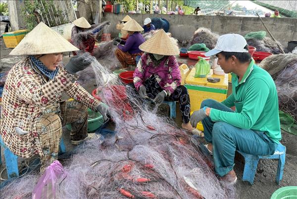 Nhộn nhịp mùa cá khoai của ngư dân biển Tây
