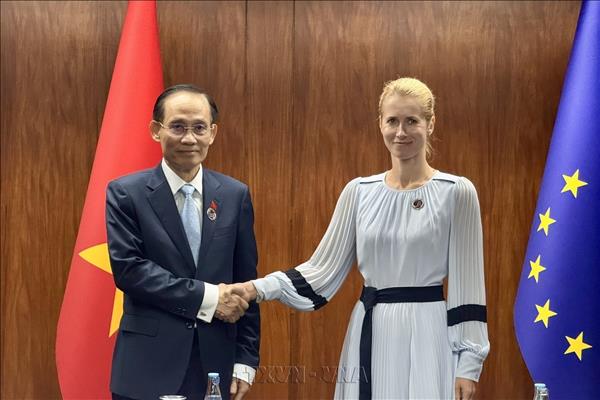 AMM-59: Vietnam proposes substantive, sustainable ASEAN-EU ties