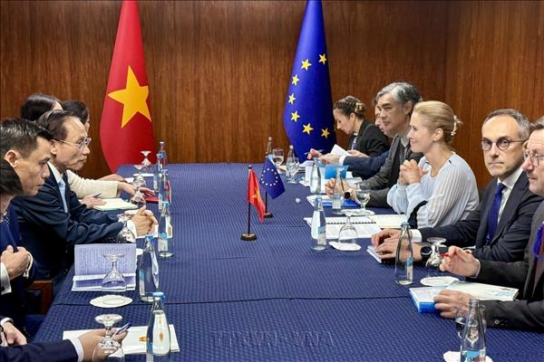 Vietnam Promotes Bilateral Cooperation with Philippines, EU, Norway on AMM-59 Sidelines