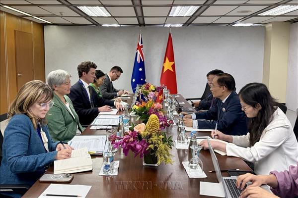 Vietnam co-chairs ASEAN-New Zealand meeting, calls for stronger practical cooperation