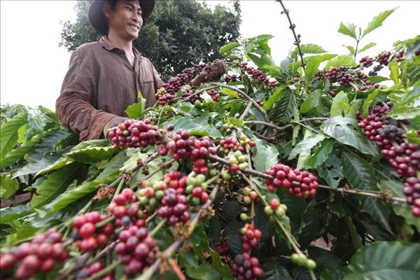LArgentine renforce les passerelles pour intégrer les produits vietnamiens aux chaînes dapprovisionnement régionales