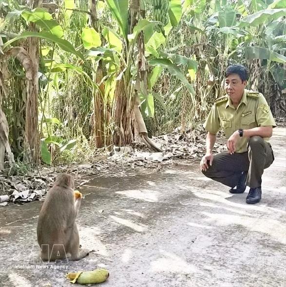 Un macaque à longue queue remis à la nature dans le parc national dU Minh Ha