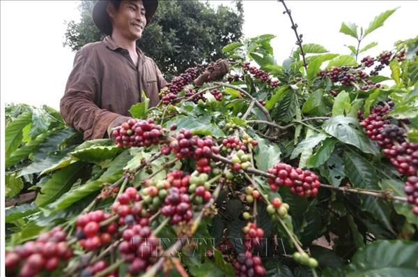 LArgentine renforce les passerelles pour intégrer les produits vietnamiens aux chaînes dapprovisionnement régionales