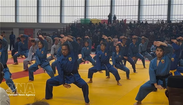 全球发展30载 越武道齐聚于巴黎