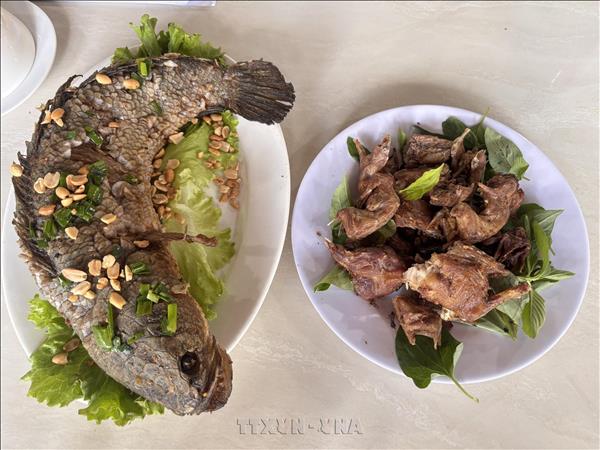 Đến Tràm Chim dỡ chà cá, chà chuột