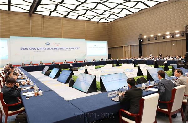 Việt Nam sẵn sàng cùng các nền kinh tế APEC chia sẻ kinh nghiệm, thúc đẩy hợp tác về quản lý rừng bền vững