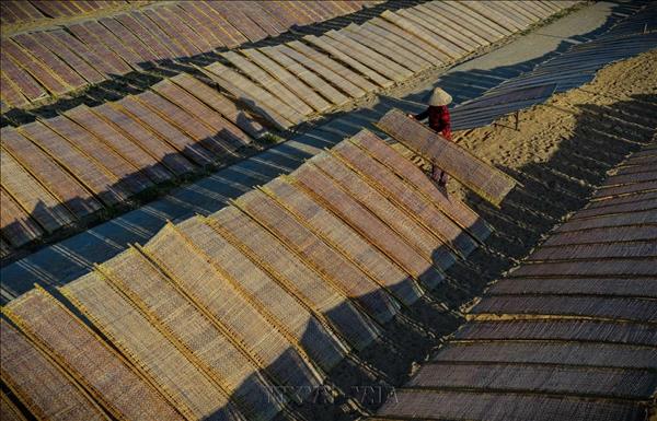 Làng nghề bún, bánh tráng An Thái
