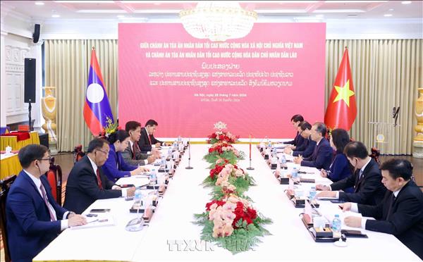 Vietnamese, Lao supreme courts deepen cooperation
