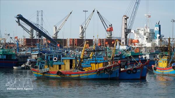 Thanh Hoa : cap sur la levée du carton jaune de la Commission européenne