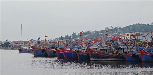 Provincia centrovietnamita de Thanh Hoa completa la actualización digital de su flota pesquera