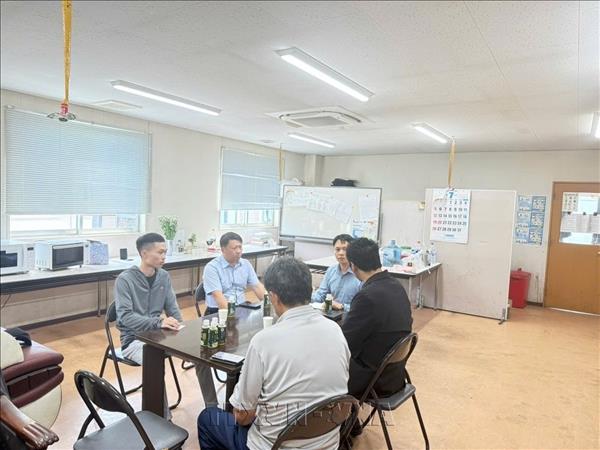 Động đất tại Nhật Bản: Tổng Lãnh sự quán Việt Nam tại Fukuoka triển khai cứu trợ người Việt - Chưa ghi nhận thêm trường hợp công dân Việt Nam thương vong do động đất