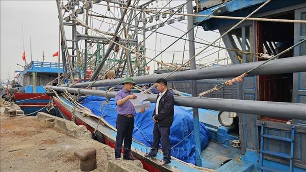 Provincia centrovietnamita de Thanh Hoa completa la actualización digital de su flota pesquera
