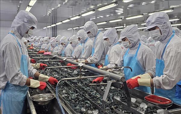 Kim ngạch xuất khẩu tỉnh Cà Mau tăng gần 13%