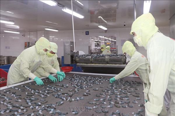 New billion-dollar export contenders emerge in Vietnams agricultural industry