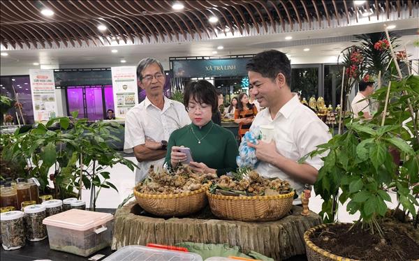 Khai mạc Lễ hội Sâm Ngọc Linh và dược liệu quốc tế Đà Nẵng 2026