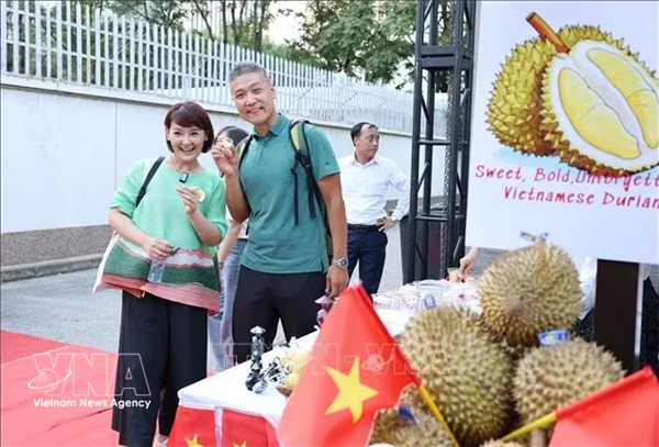 印度正式向越南榴莲开放市场