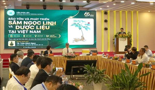 Ngoc Linh ginseng sets sights on global brand recognition